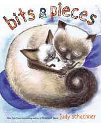 Bits & Pieces by Judy Schachner